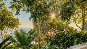 A lush garden with a variety of trees and plants, a pathway, and a view of the sea. - Unique Camps Bay Apartment w Private Pool Coral Sea (Cape Town)