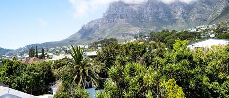 A residential area with a mountain in the background, lush greenery, and houses with modern architecture.