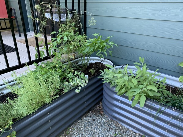 Detalle del exterior