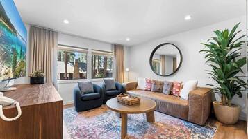 Smart TV, fireplace, books