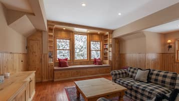 Smart TV, fireplace, video games, DVD player