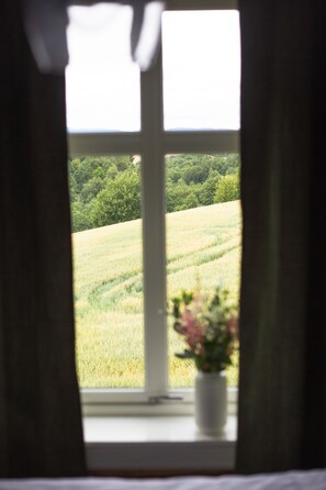 Blick auf den Garten
