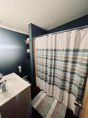 Hair dryer, towels, soap, shampoo - Lakefront cabin with double decker dock. Private secluded lakefront lot.  (Hayesville)