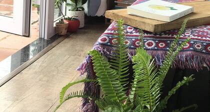 Sunyata - Nhà Viên Mãn
Forest View