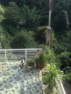 Área da propriedade