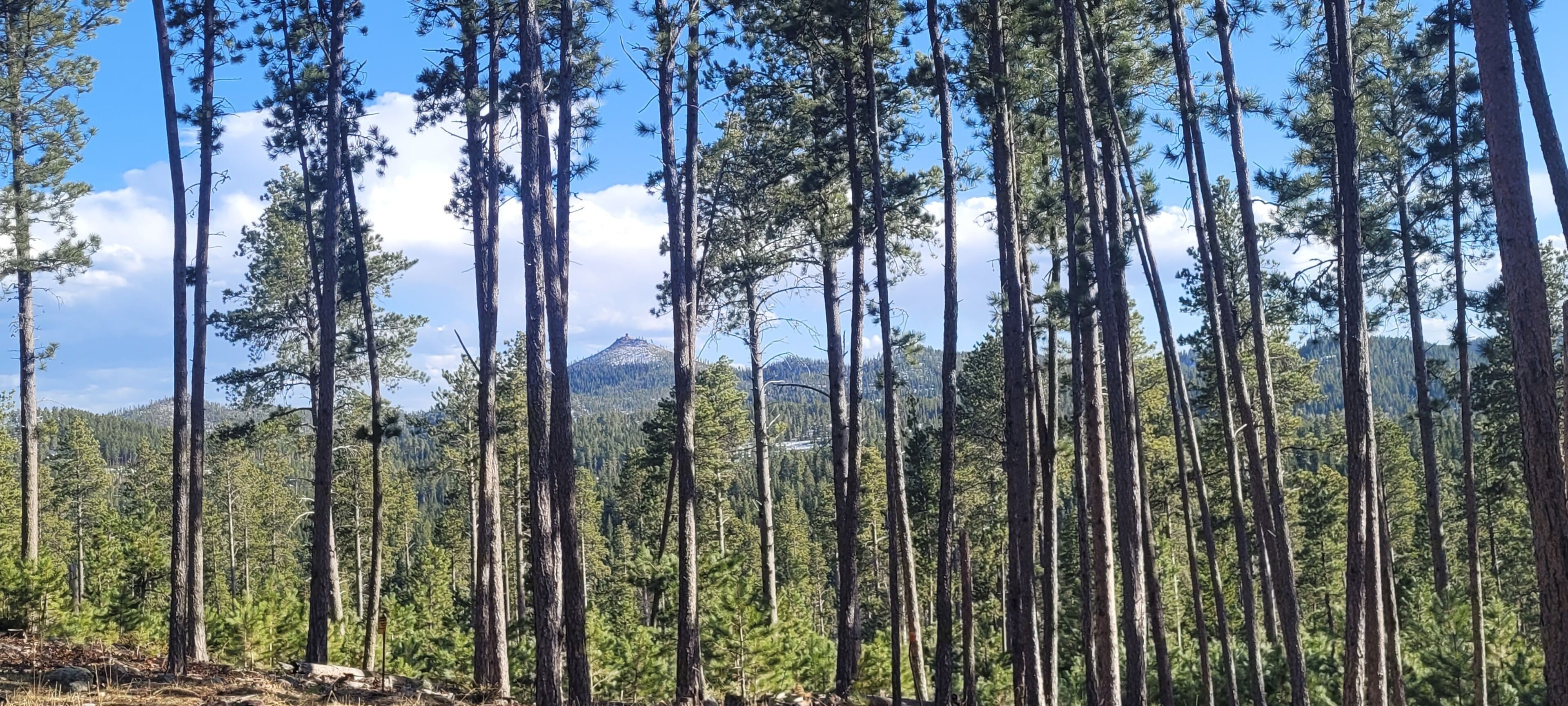 Remote Retreat for 2 near Deadwood w/ beautiful views & near activities!