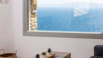 Deluxe Villa | View from room