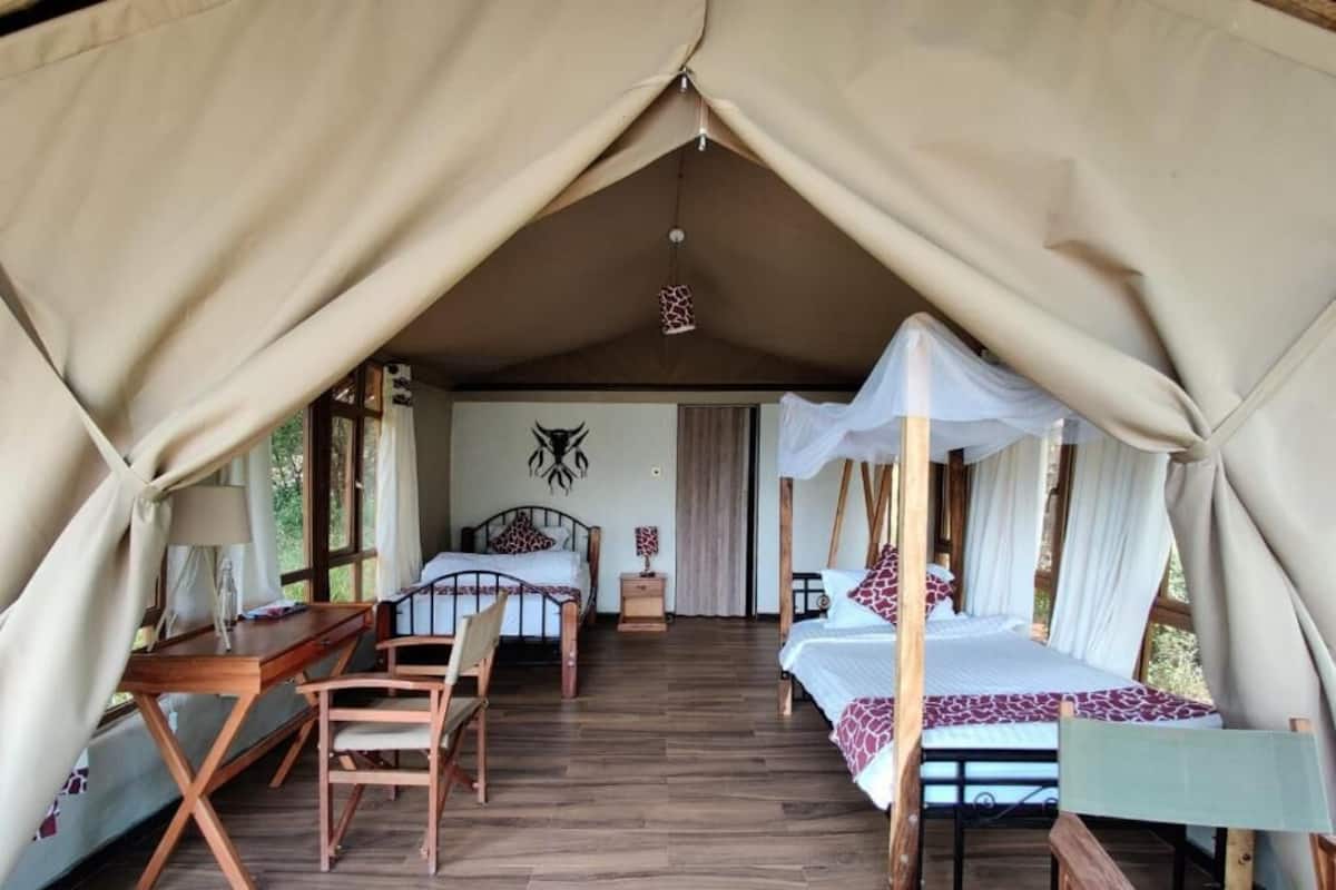 Twin Room | 1 bedroom, desk, bed sheets