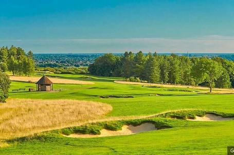 Golf. Artypophouse~Unique home to create unique memories