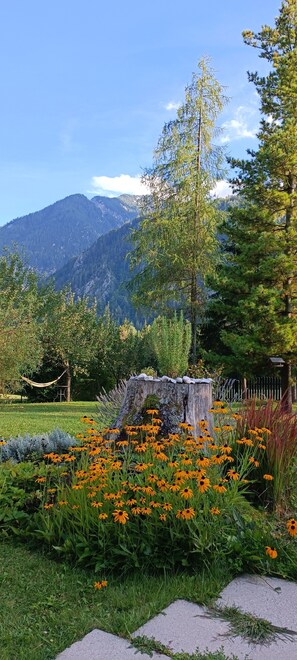 Property grounds - Apartma čebela with Julian Alps view in the heart of nature. (Forest Martuljek)