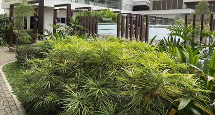 Red Staycation @ MesaVerte Residences