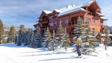 Apartment (1 Bedroom) | Interior