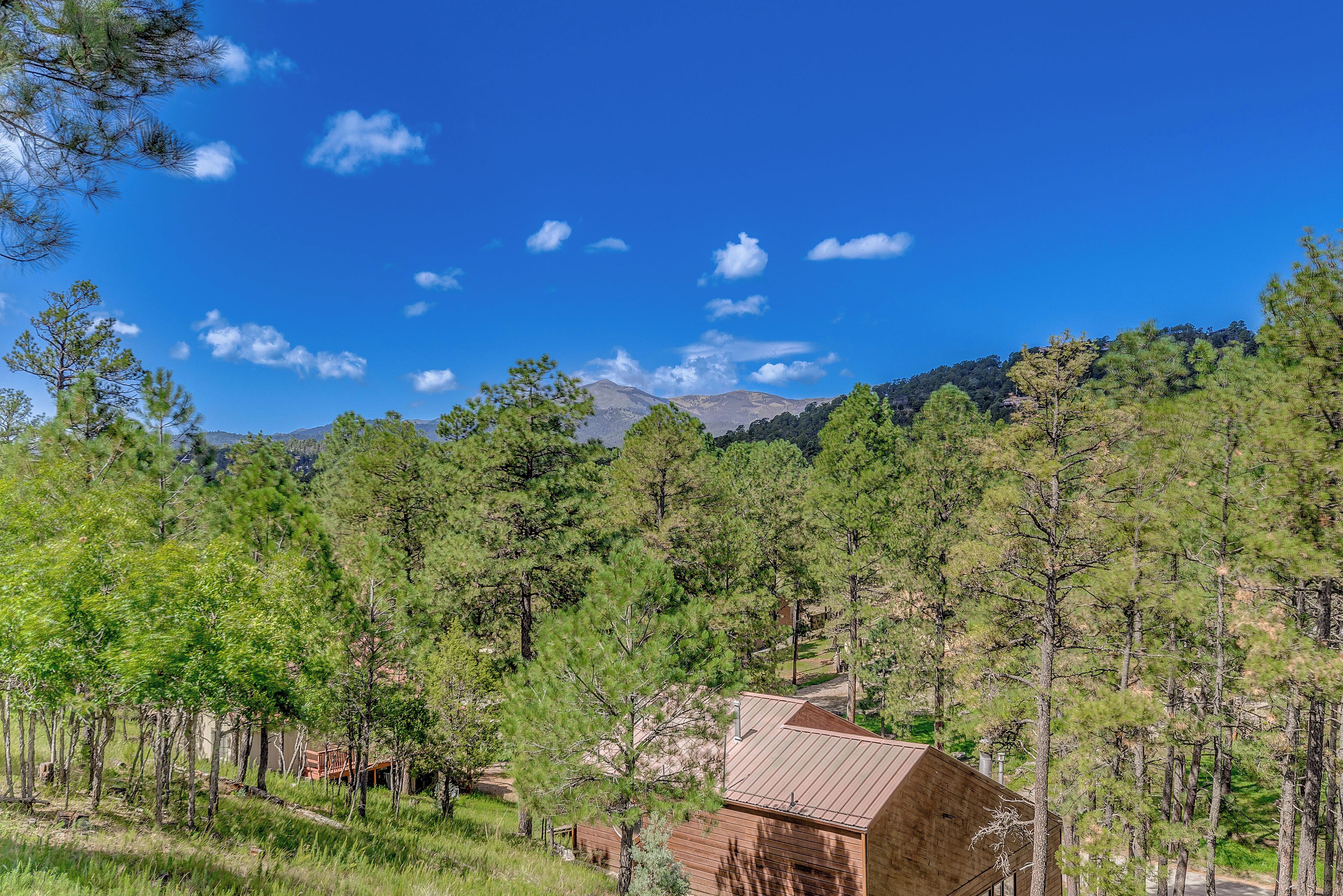 Une cabane rustique entourée d’une forêt dense de pins, avec une montagne en arrière-plan sous un ciel bleu dégagé.
