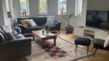 Fernseher, Kamin, BĂŒcher