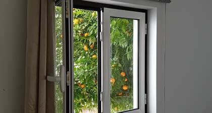 Apartment in Semeador