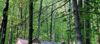 Tiny Cat Tiny House
