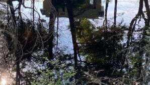 A house surrounded by trees and a body of water.