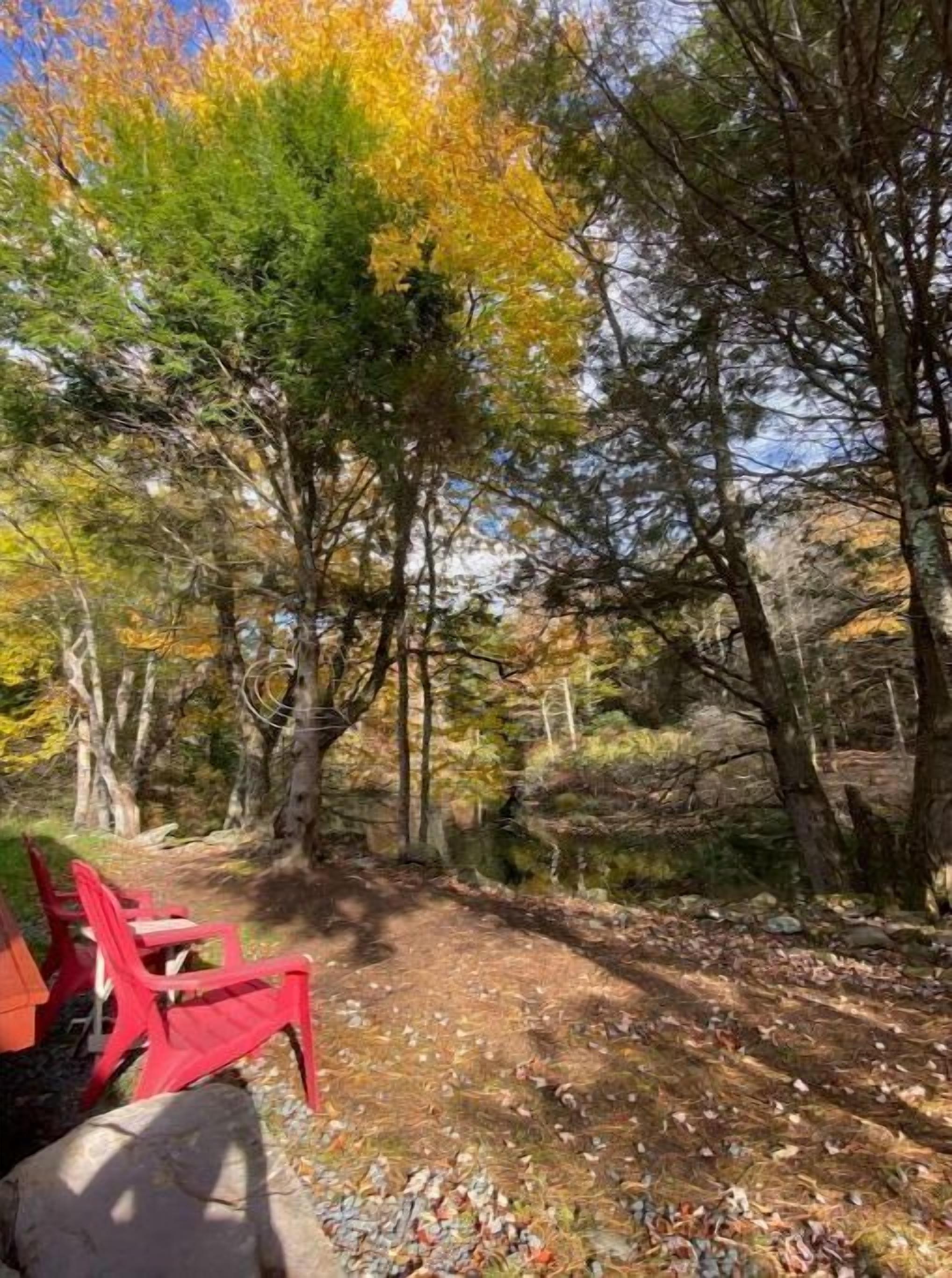 A forested area with a dirt path and red chairs.