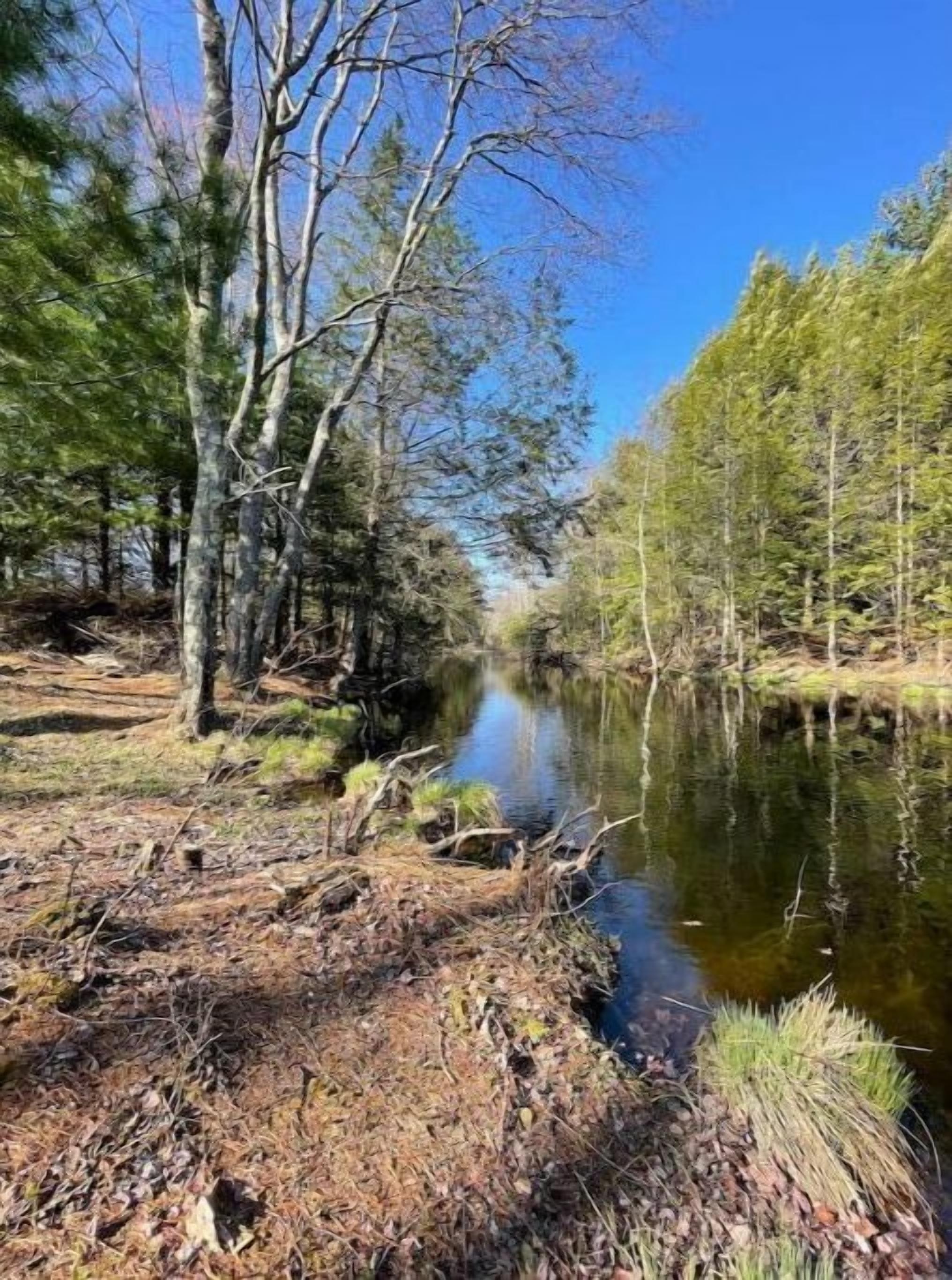 A natural landscape with a river, trees, and a clear sky.