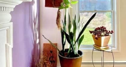 Peaceful Lake House Sauna,Hot tub,& Pool getaway in the Catskills