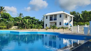 A swimming pool with a white building in the background, surrounded by greenery.