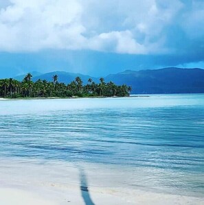 Uma praia com águas azul-claras, uma orla arenosa e uma fileira de palmeiras.