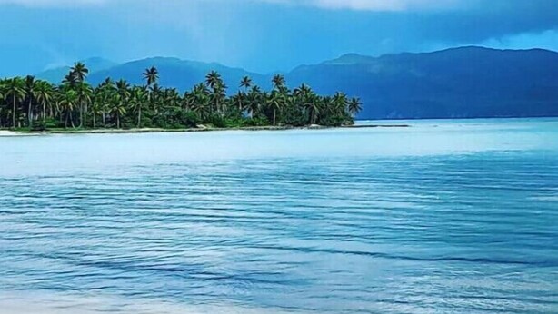 Ein Strand mit klarem türkisblauem Wasser, einem sandigen Ufer und einer Reihe von Palmen.