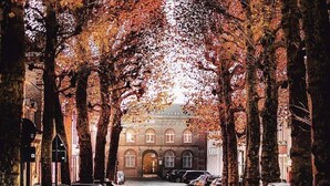 Una calle adoquinada bordeada de coches estacionados y árboles, que conduce a un edificio de estilo arquitectónico clásico.