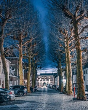 Une rue pavée bordée d’arbres sans feuilles et de bâtiments historiques.