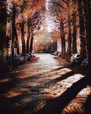 Una calle empedrada bordeada de árboles y coches aparcados, que lleva a un edificio con fachada clásica.