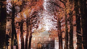 A cobblestone street lined with trees and parked cars, leading to a building with a classic facade. - ROOM N°1 / City Center Spacious King Suite * Private External Bathroom (Brugge)