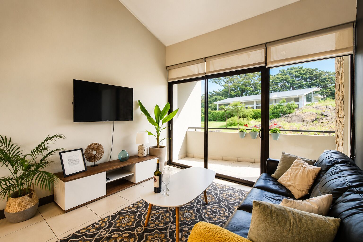 Smart TV