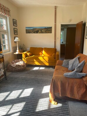 Smart TV, fireplace, DVD player, music library