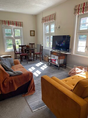 Smart TV, fireplace, DVD player, music library