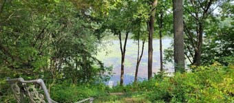 Lakefront Cabin in the Woods fully fenced yard