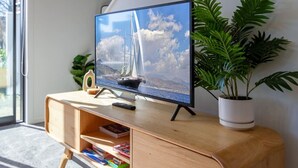 Ein Fernseher auf einem Holzständer mit einer Topfpflanze daneben.