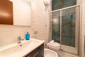 Shower, hair dryer, bidet, towels