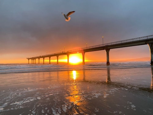 Beachside Bliss: 1 Bed 1 Bath