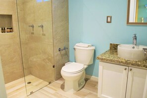 Ducha, cabezal de ducha tipo lluvia, secador de pelo, toallas