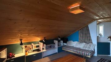 TV, fireplace, DVD player