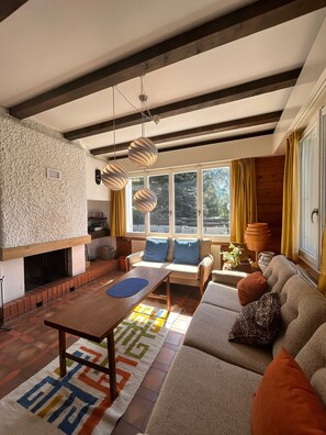 TV, lareira, DVD player
