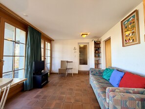 TV, fireplace, DVD player