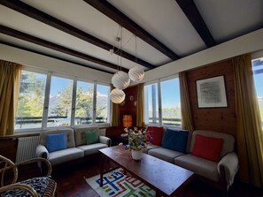 TV, fireplace, DVD player