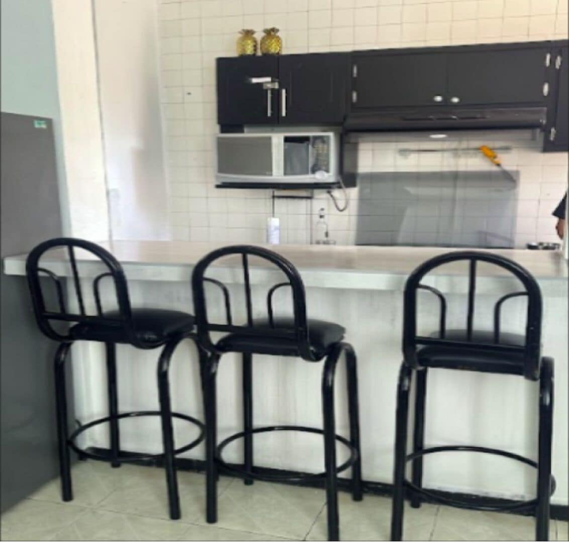 Fridge, microwave, stovetop, blender