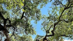 Una casa de dos pisos amb un gran arbre al davant, un porxo amb columnes i una bandera.