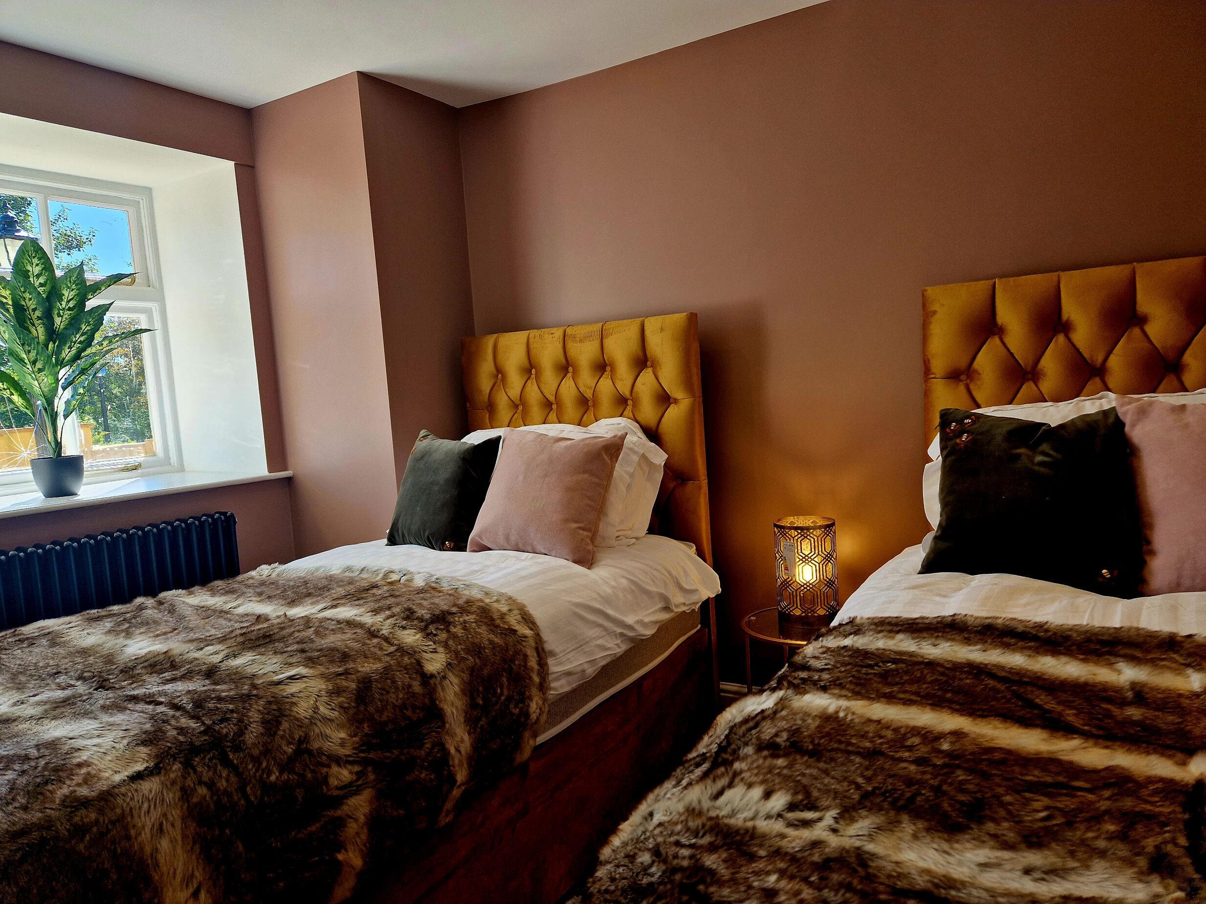 A bedroom with two beds, a potted plant by the window, and a bedside lamp.