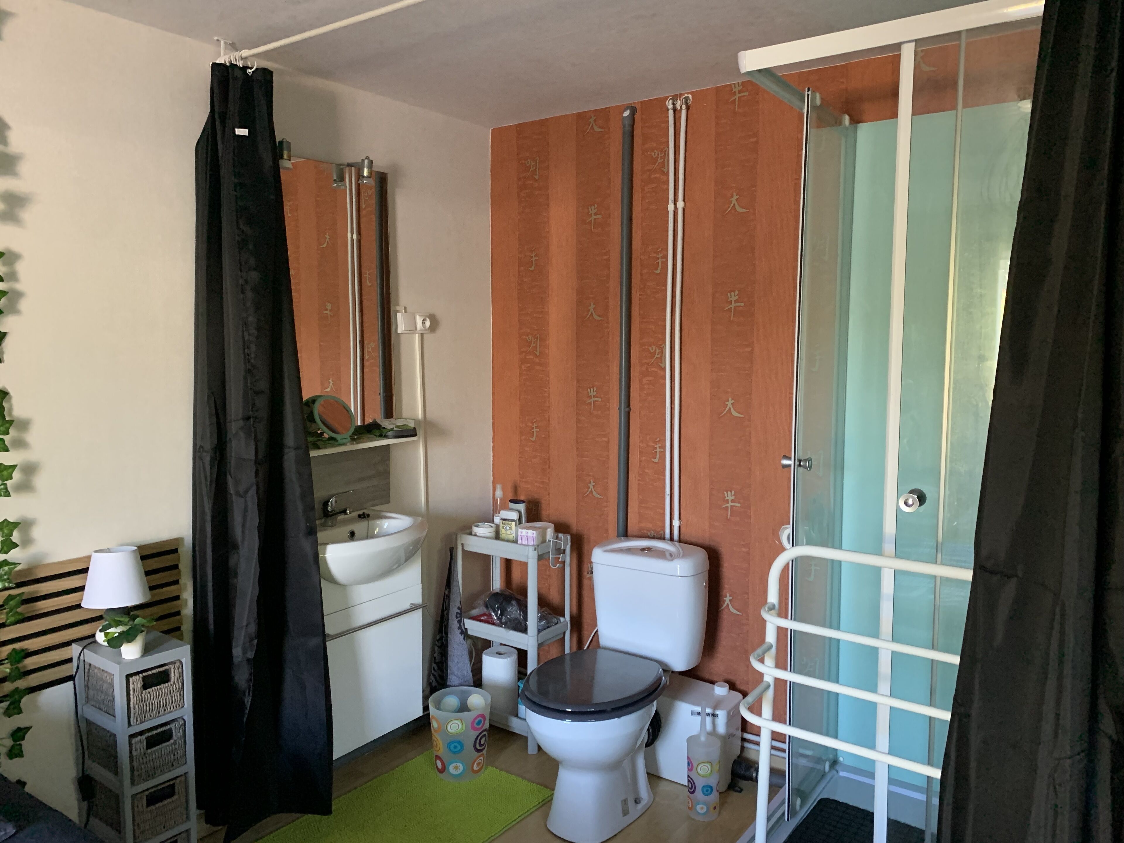 Een kleine badkamer met wastafel, toilet en douche.