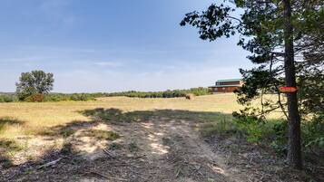 Ländliche Landschaft mit einem Feldweg, der zu einem Gebäude mit grüner Dachbegrünung führt.