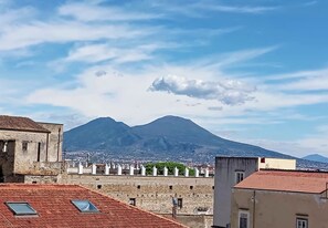 Elite Room | Balcony view