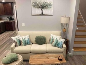 Smart TV, fireplace, books